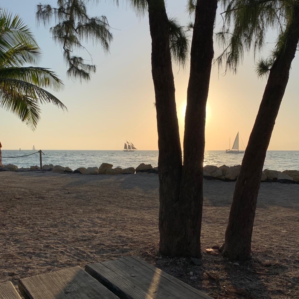 Meet your Posher, Maddie